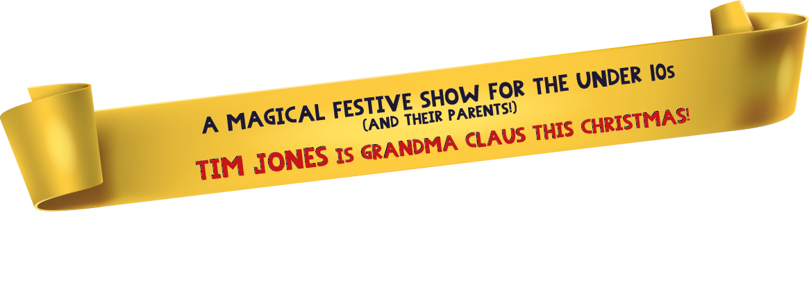 A Magical Festive Show for the under 10s (and their parents!). Brand new for Christmas 2024 - Cheltenham.